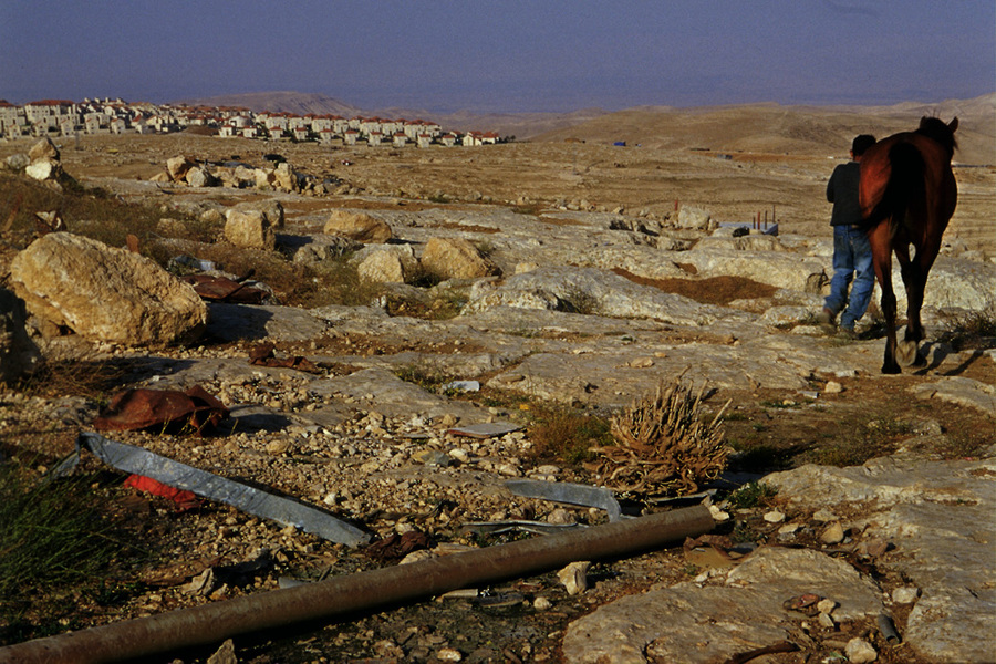  : Jahalin Bedouins : Sallie Dean Shatz