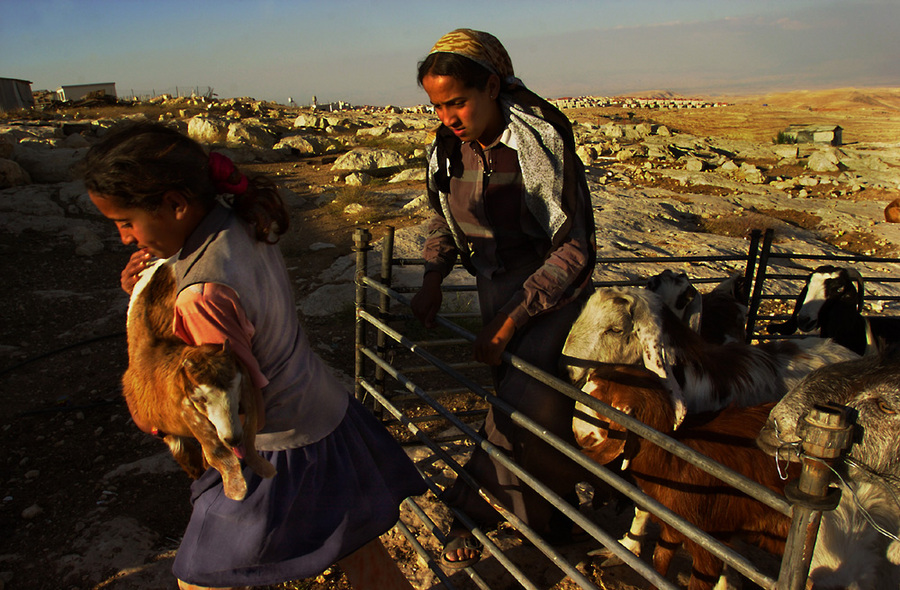  : Jahalin Bedouins : Sallie Dean Shatz