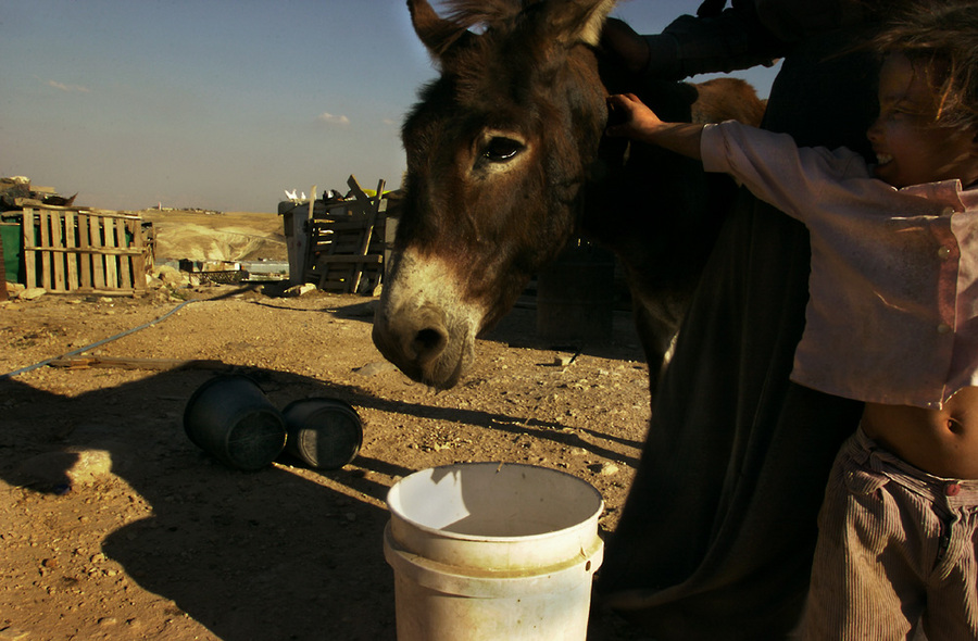  : Jahalin Bedouins : Sallie Dean Shatz