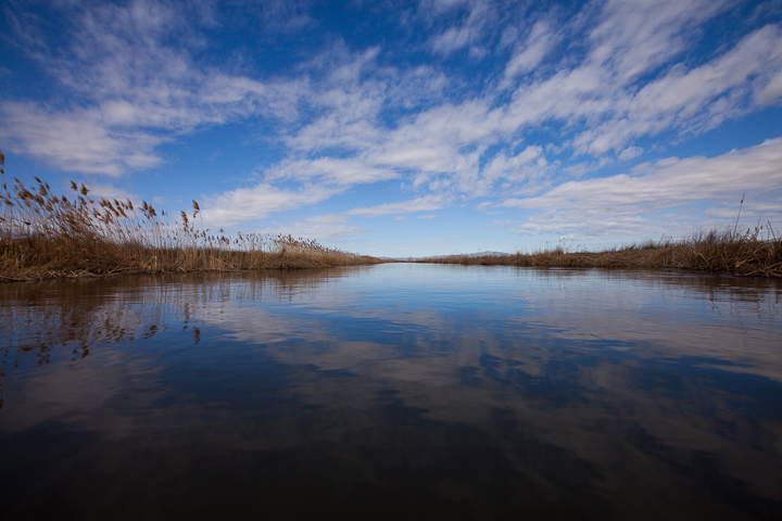  : Headwaters to GSL : Sallie Dean Shatz