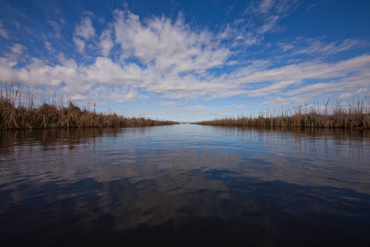  : Headwaters to GSL : Sallie Dean Shatz