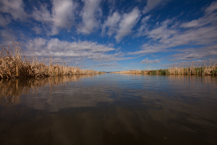  : Headwaters to GSL : Sallie Dean Shatz