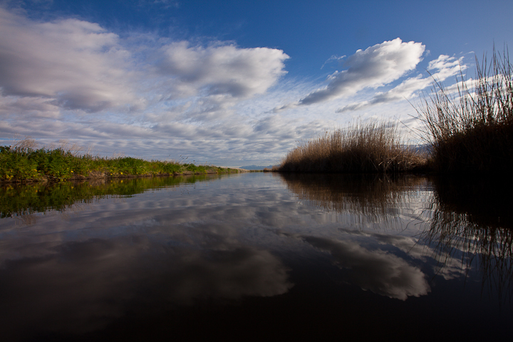  : Headwaters to GSL : Sallie Dean Shatz