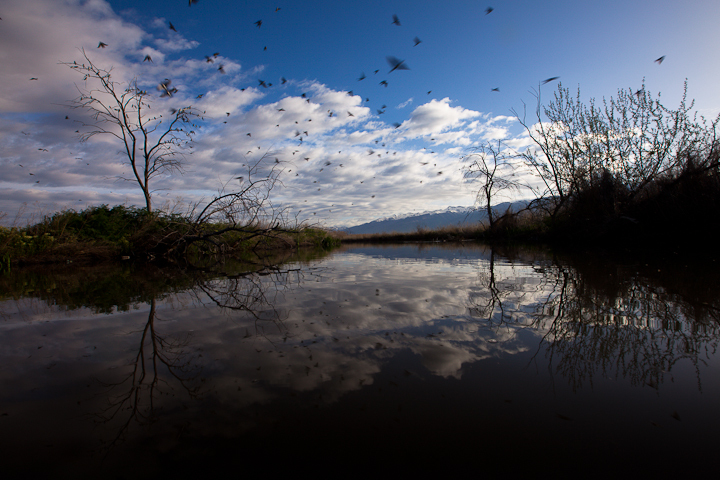  : Headwaters to GSL : Sallie Dean Shatz