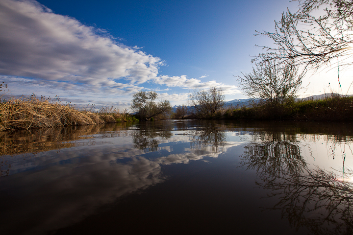  : Headwaters to GSL : Sallie Dean Shatz