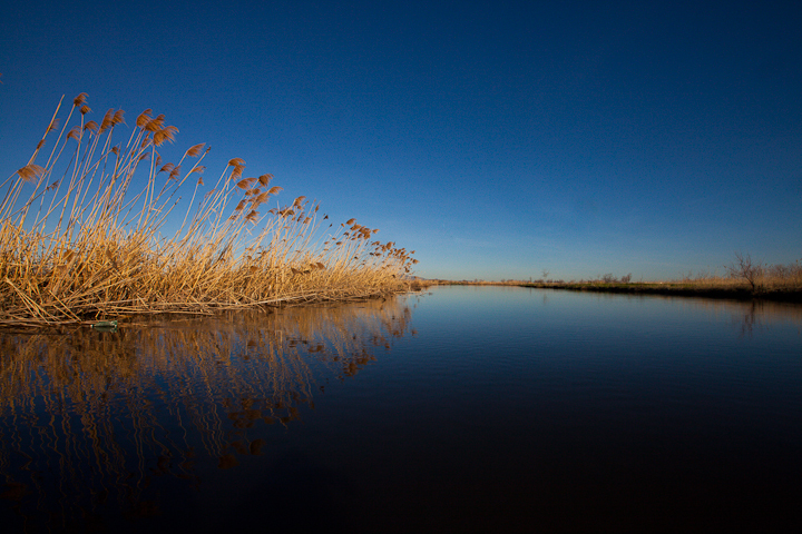  : Headwaters to GSL : Sallie Dean Shatz