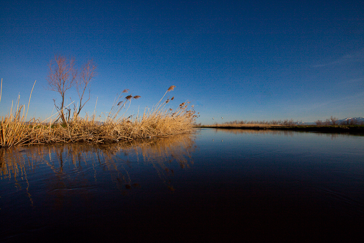  : Headwaters to GSL : Sallie Dean Shatz