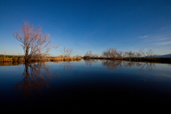  : Headwaters to GSL : Sallie Dean Shatz