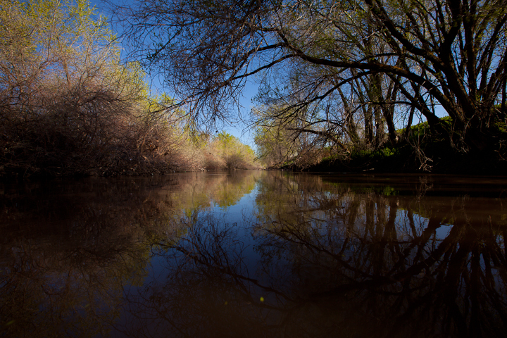  : Headwaters to GSL : Sallie Dean Shatz