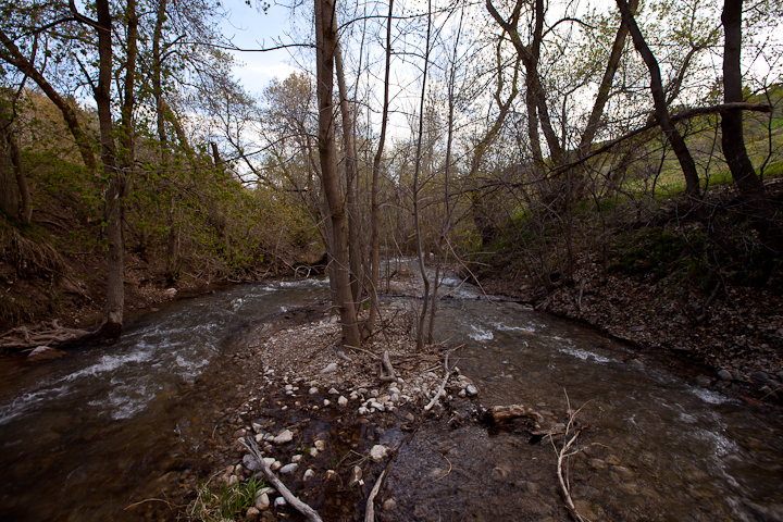  : Headwaters to GSL : Sallie Dean Shatz