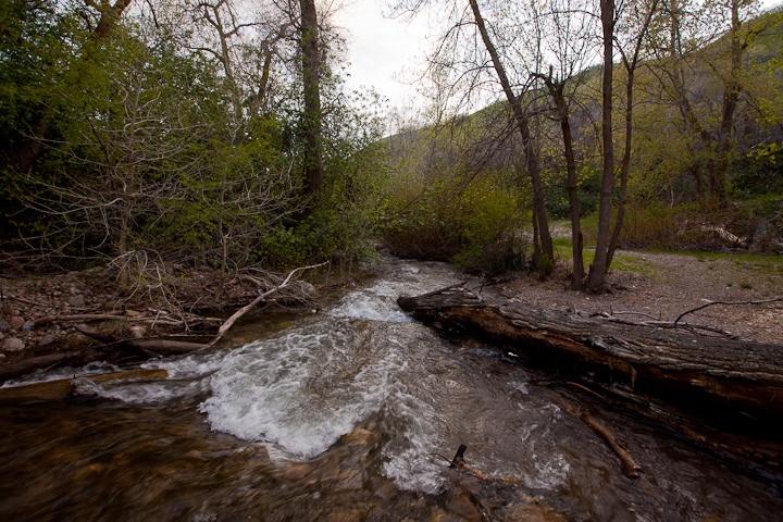  : Headwaters to GSL : Sallie Dean Shatz