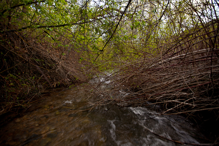  : Headwaters to GSL : Sallie Dean Shatz