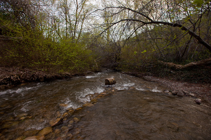  : Headwaters to GSL : Sallie Dean Shatz