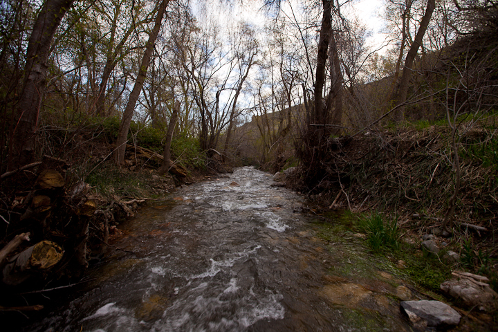  : Headwaters to GSL : Sallie Dean Shatz