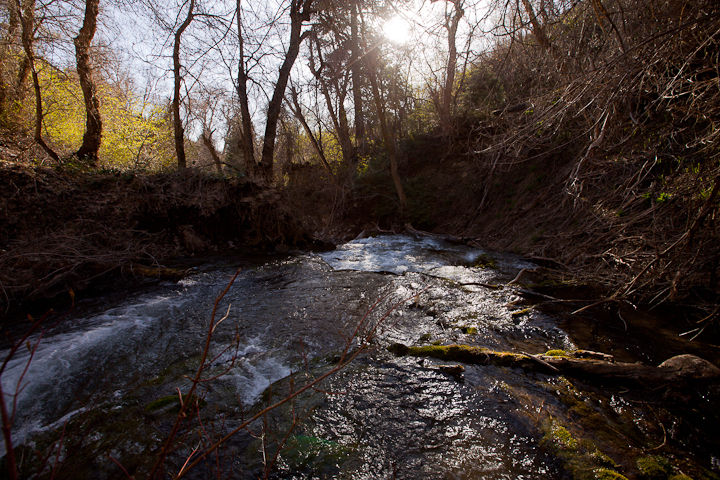  : Headwaters to GSL : Sallie Dean Shatz