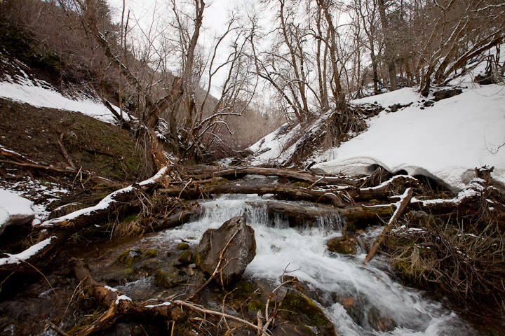  : Headwaters to GSL : Sallie Dean Shatz