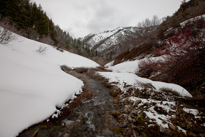  : Headwaters to GSL : Sallie Dean Shatz