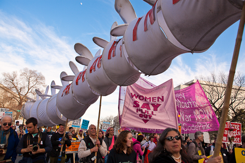  : Protesting : Sallie Dean Shatz