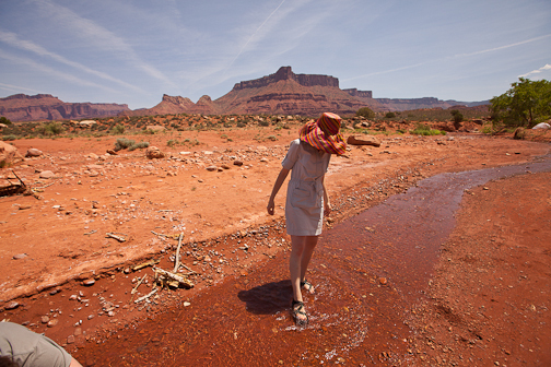  : Protesting for Wilderness in Utah : Sallie Dean Shatz